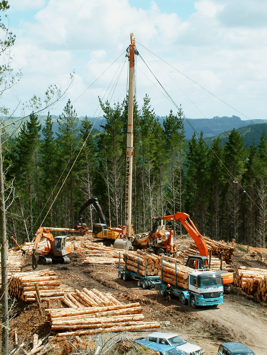 Forest Safe Woods Logging LTD Forest Safe Woods Logging LTD